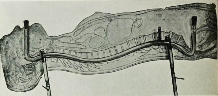 14781872331_81c9ca7490_o